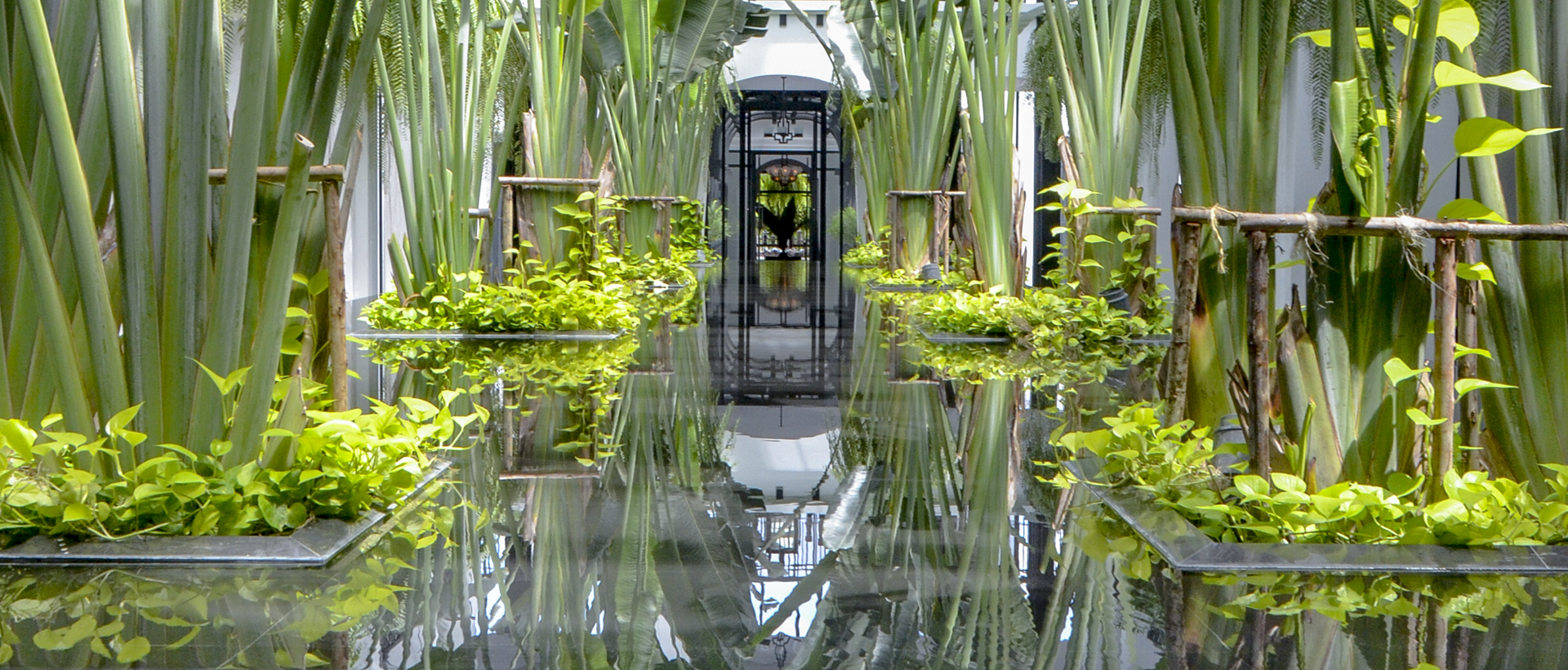 Greenery in a hotel garden on luxury journeys across Asia and the Pacific with Longitude 80
