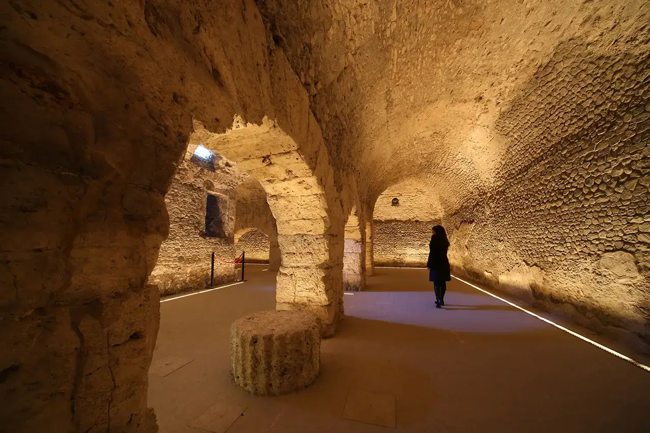 01-Swisskisafari-Cellar-YWC