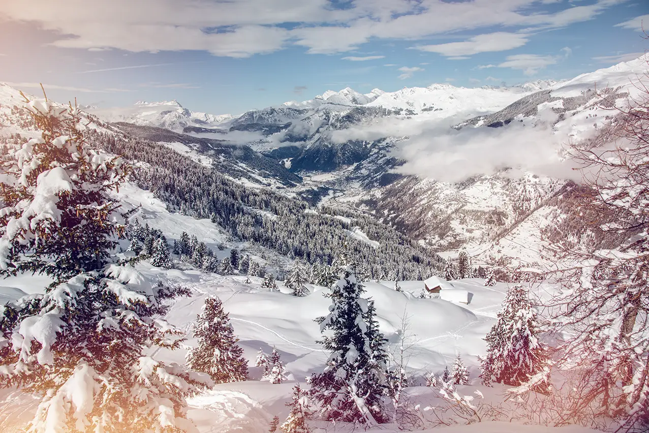 23-Swisskisafari-Mountain-YWC