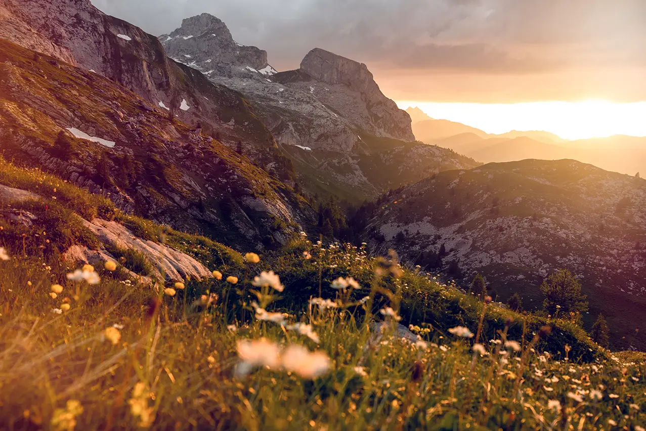26-Swisskisafari-Sunset-YWC