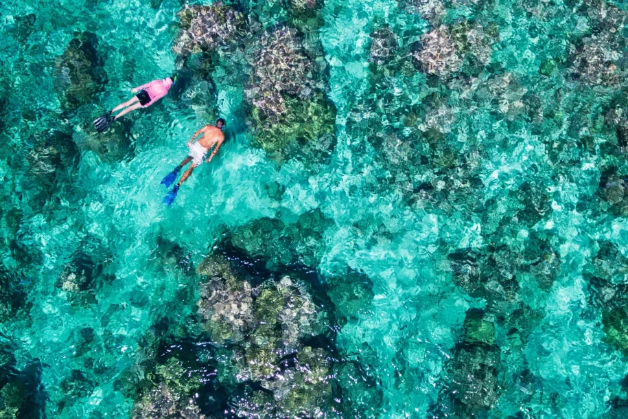 seas4life alphonse snorkelling