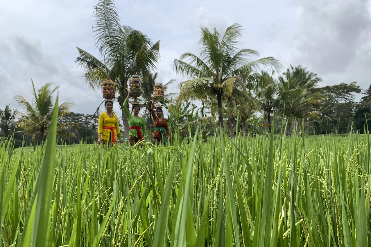 women in traditional costume Bali
