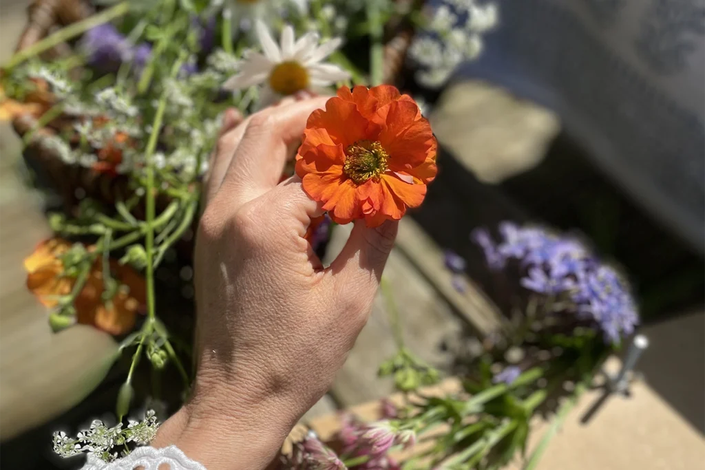 A bunch of wildflowers hald in a womans hand ready for pressing