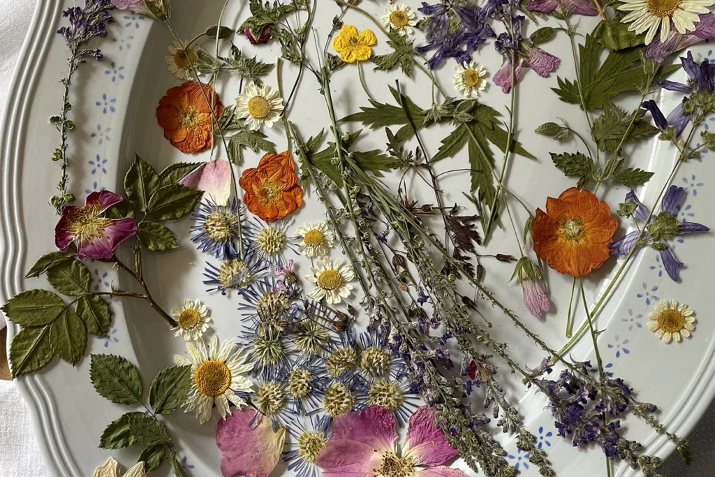 Pressed wildflowers laid out on a plate