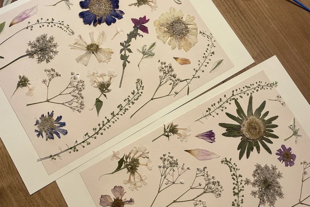 Two pressed wildflower prints laid on a table