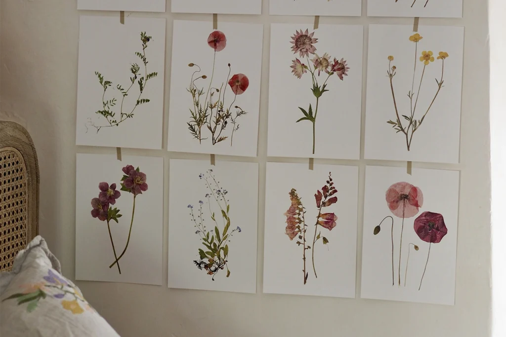 Unframed wildflower prints taped onto a wall in a grid